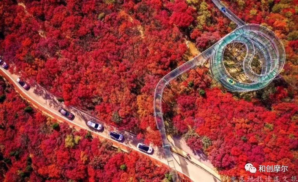 积极探索村集体经济发展模式,探索农村集体经济联合社模式