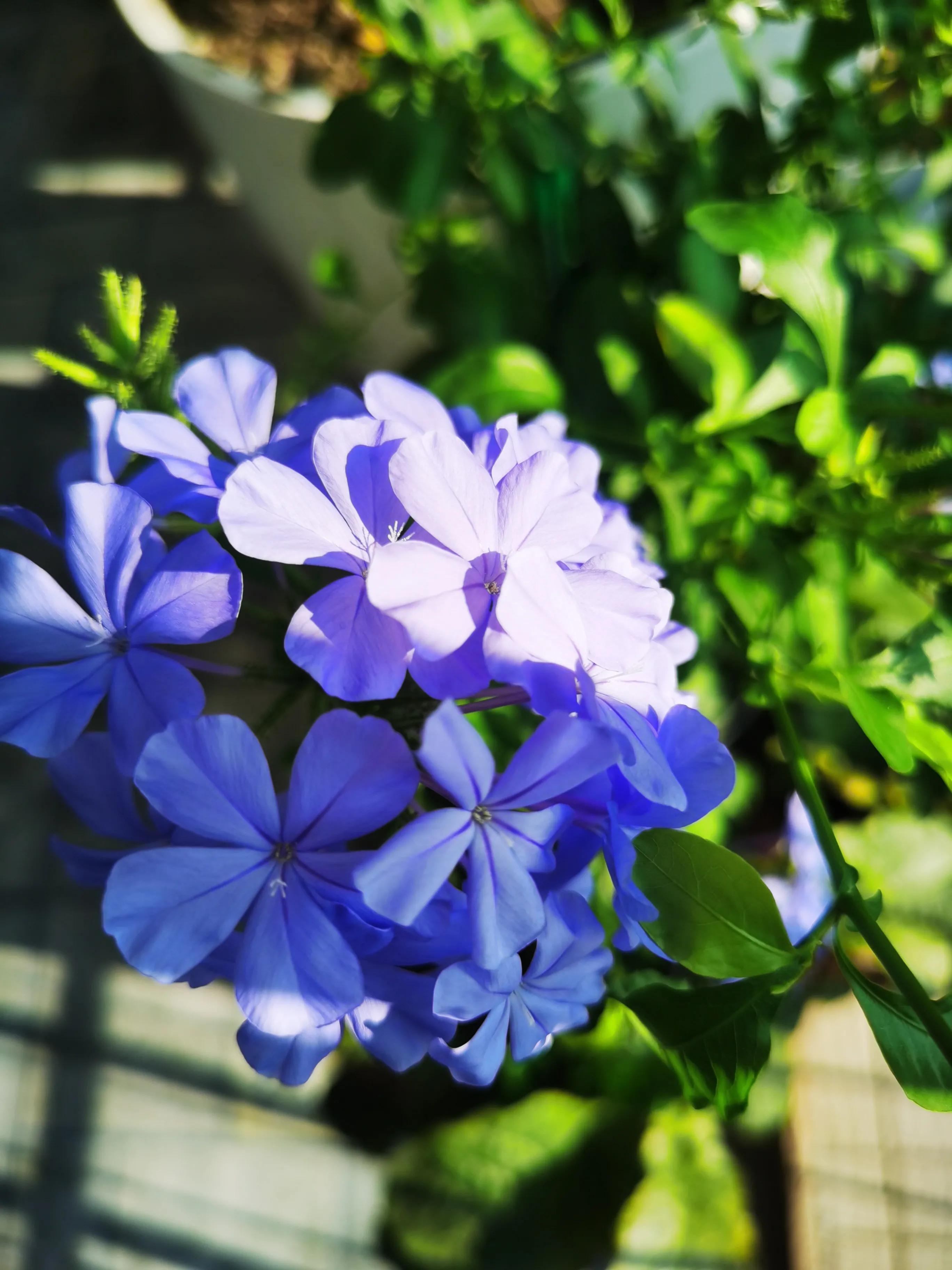 婚外情在情感上最怕的是什么,婚外情背叛婚姻的人