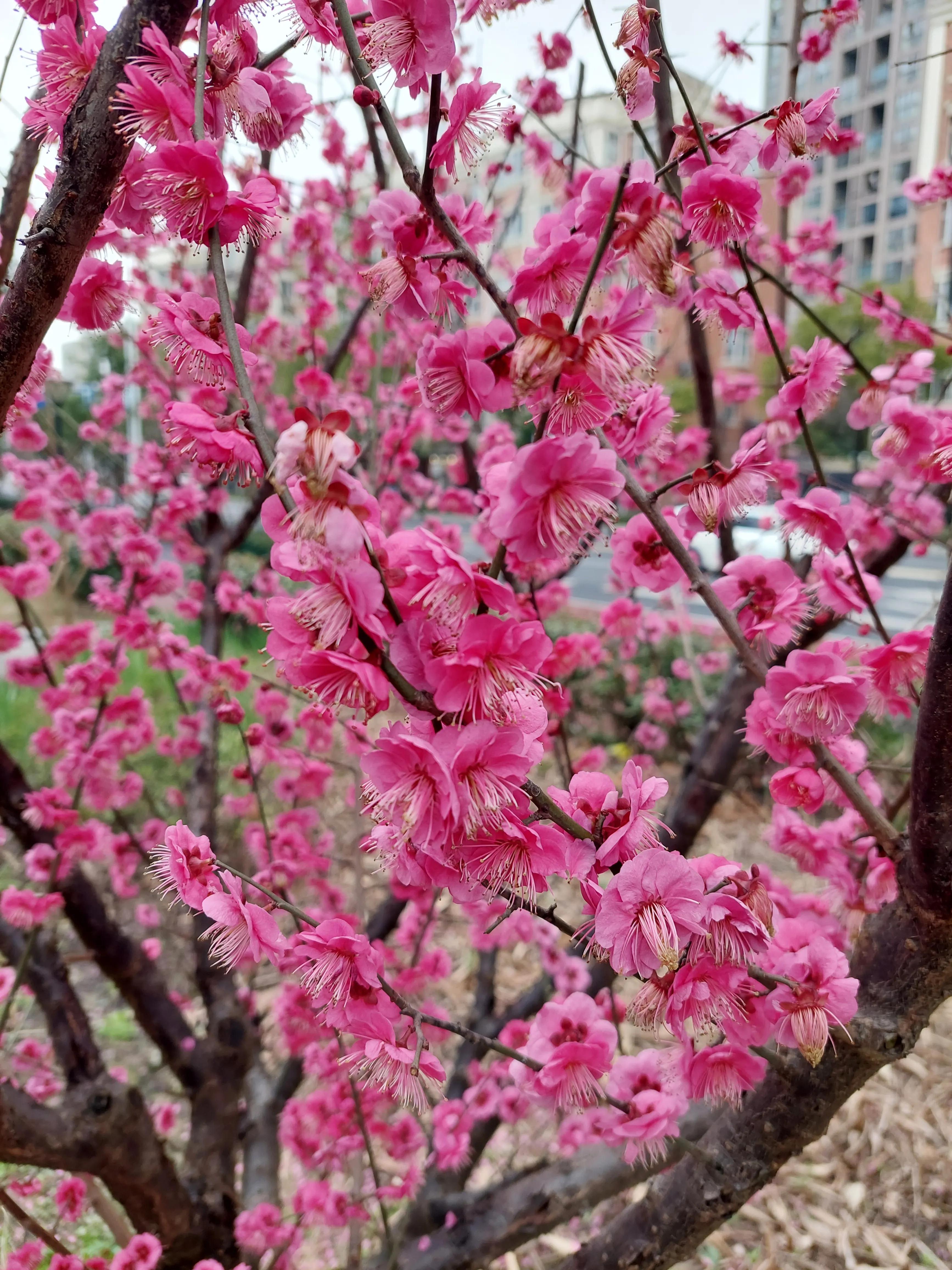 炒股人需要具备的职业素养