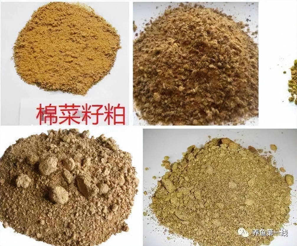 鱼饲料二合一,鱼饲料各种营养成分的含量