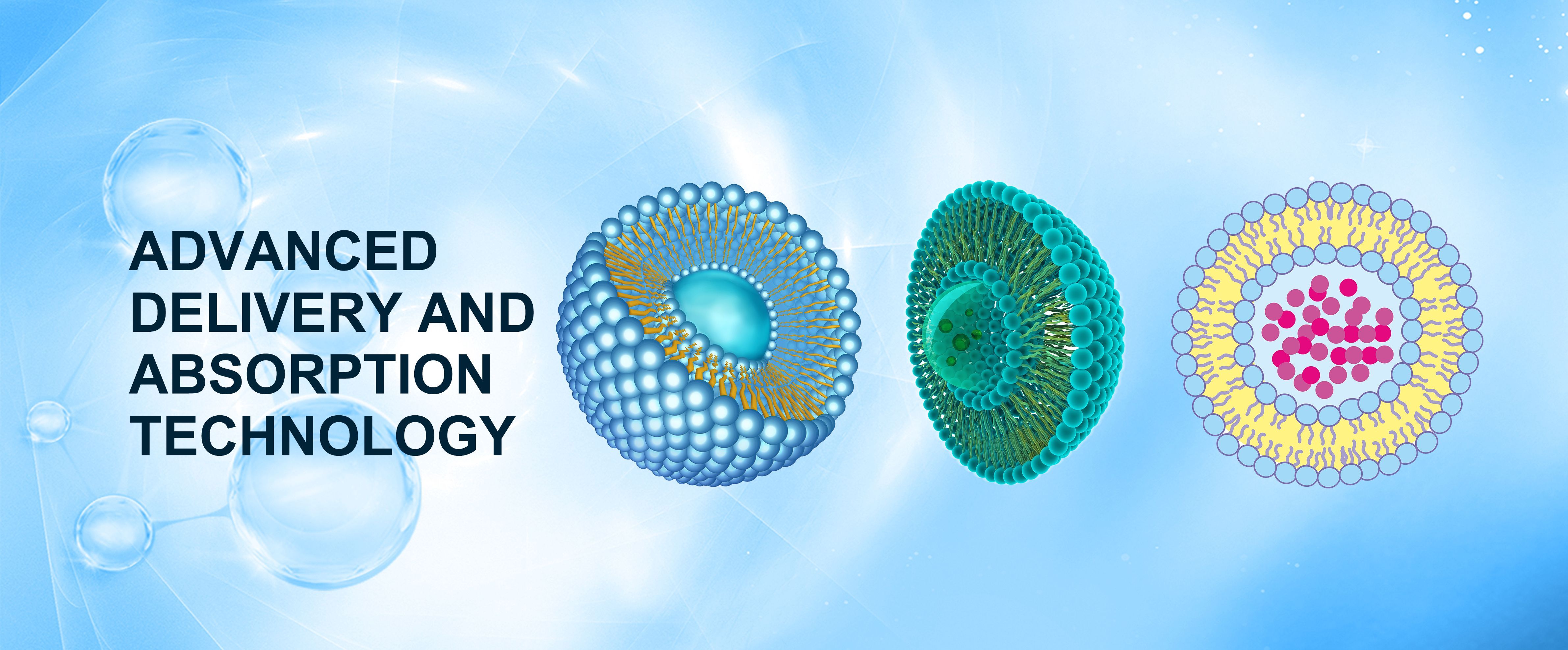 璺ㄥ鐢靛晢鍥介檯鎵瑰彂,璺ㄥ鐢靛晢涓笢鎷撳