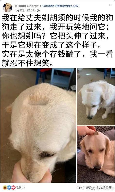 精工所有手表,精工电视手表t001