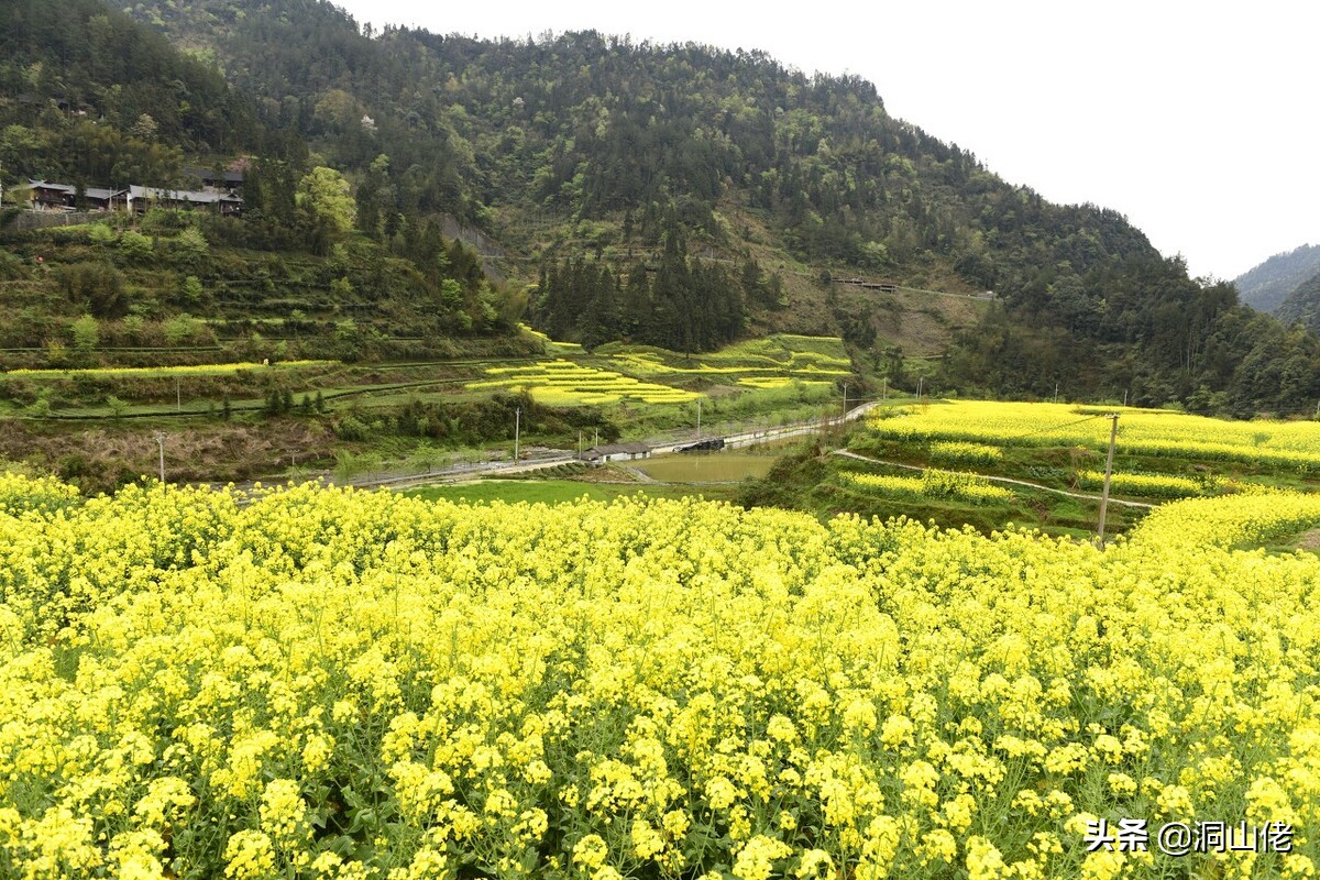农村有句老话叫人穷别走亲,农村俗语人穷少说话位低别劝人