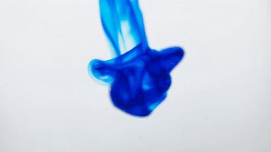 2021年日本文具大赏,2019年日本文具大赏