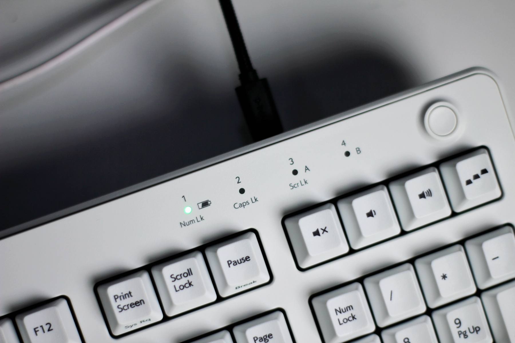 鏋佷韩浣撻獙,鐕冮realforcer3閿洏