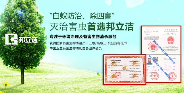 灭蟑螂最好的消灭剂,灭蟑螂洗洁精最有效的方法