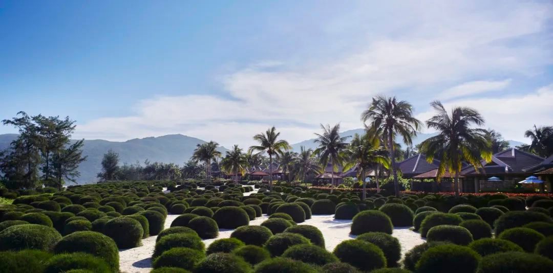 三亚亚龙湾丽思卡尔顿游记,三亚丽思卡尔顿观海阁