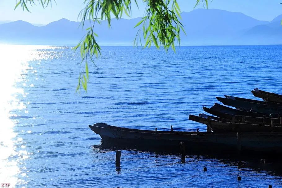 中国人文摄影获奖作品,大美中国摄影作品展获奖