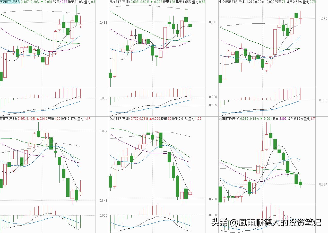 白酒股全线暴跌还要不要继续加仓,白酒冲高回落是洗盘还是出货