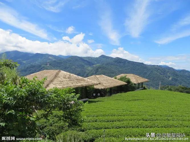 台湾阿里山风景视频,台湾阿里山歌曲