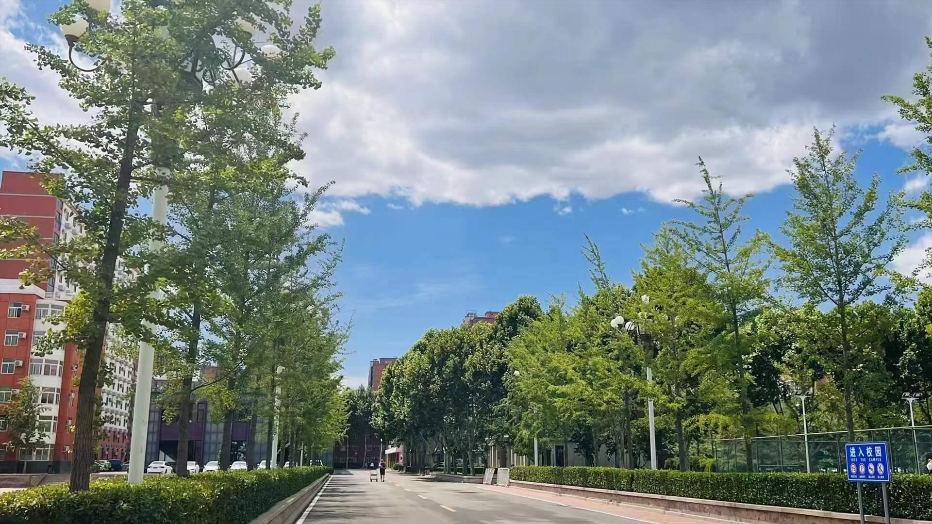 北大青鸟学校招生条件,北大青鸟是技校么