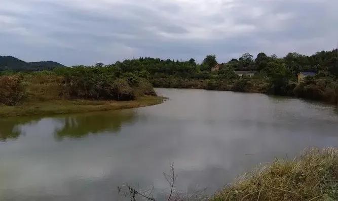 湖南宁乡道林镇,长沙市道林镇