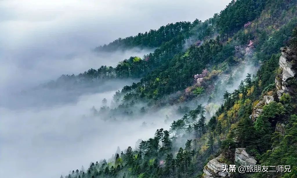 开封到三清山庐山篁岭四日游,江西出发旅游黄山三清山庐山