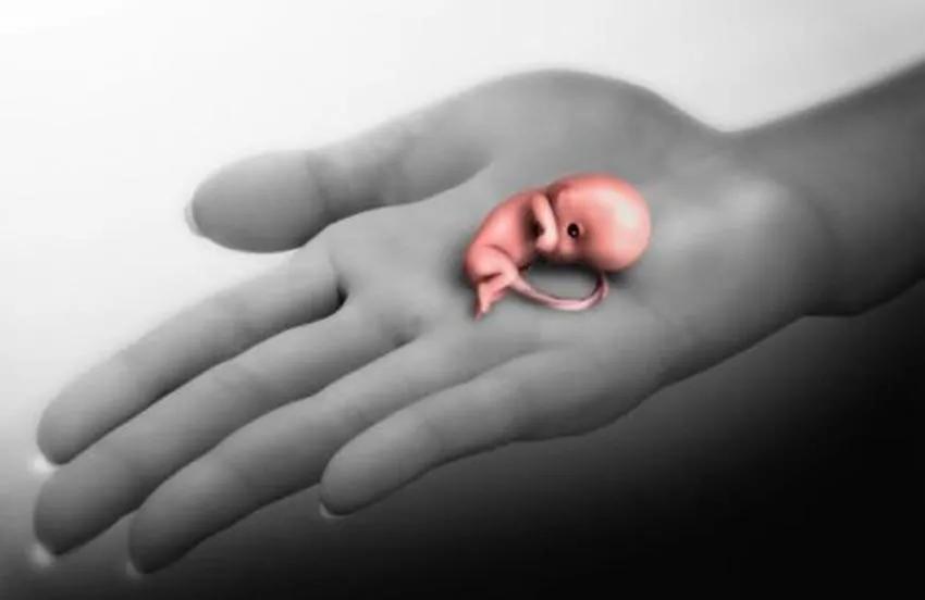 孕妇阳了胎儿胎动频繁,孕妇阳了胎儿胎动少