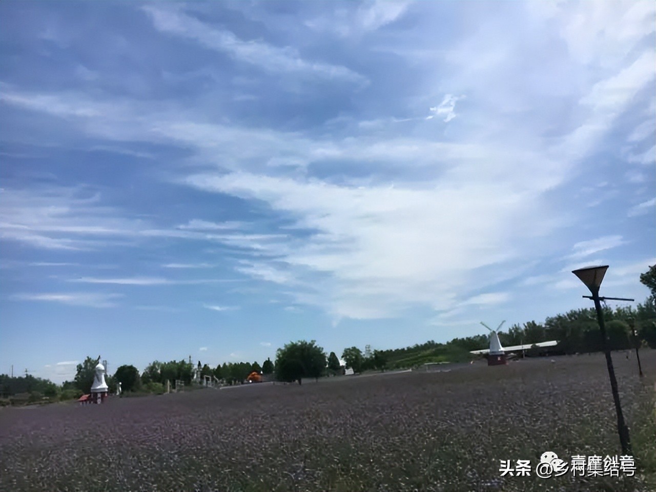 森林康养产业新模式,全域森林康养