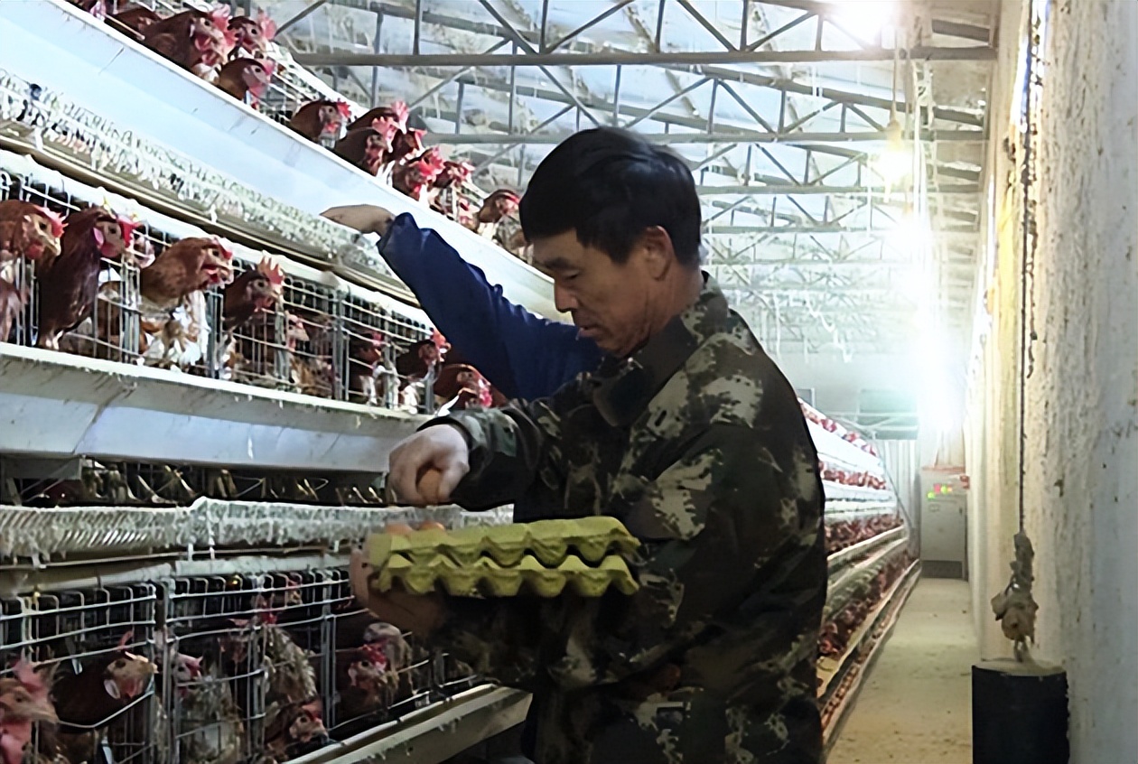 二十大时光丨李令荣：做致富路上的带头人