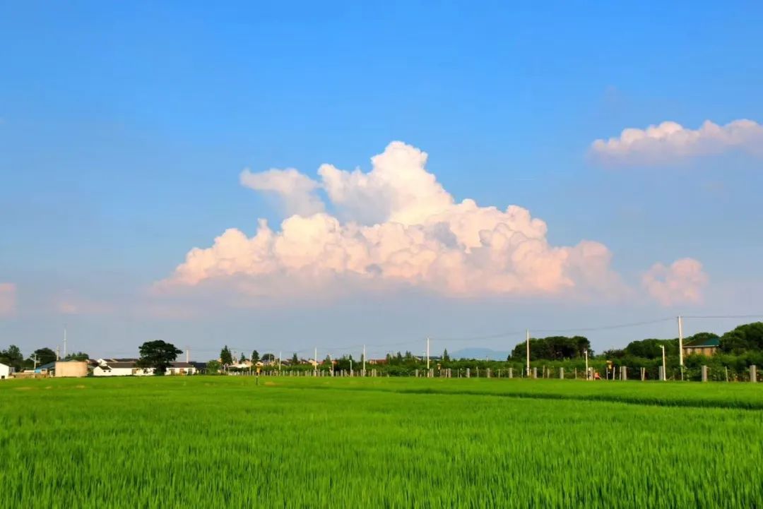 江苏省特色田园乡村名单公布,省级特色田园乡村标准