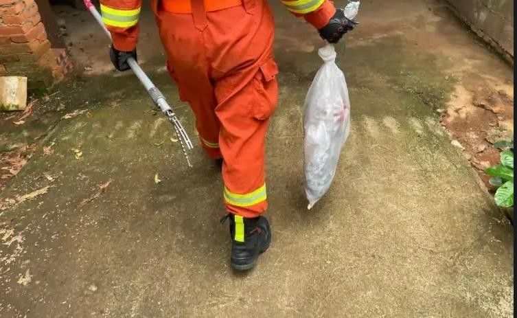 曾有人被咬伤*体下**！女子夜起从马桶钻出大蛇，大蛇为何能上楼？