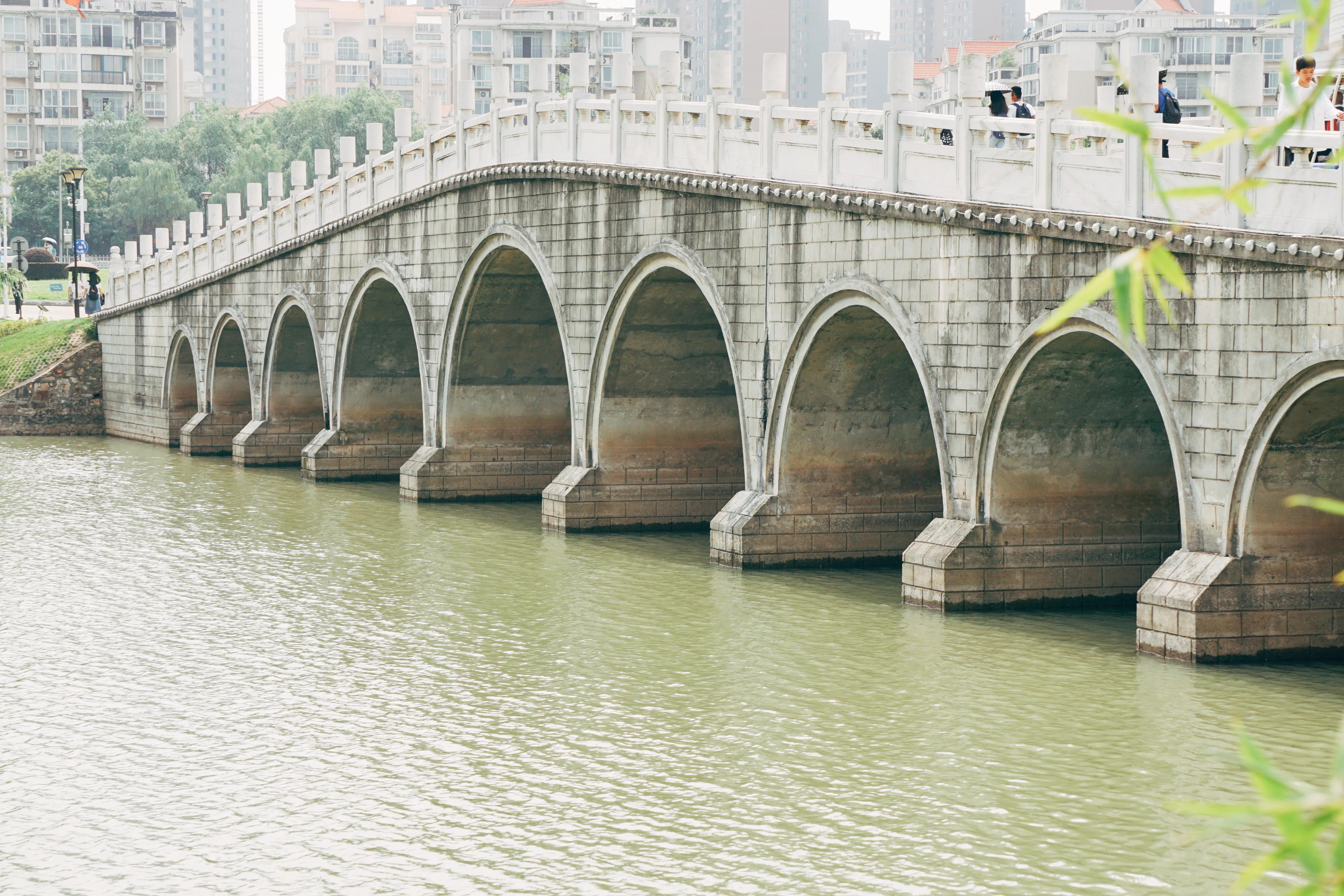 武汉大学中南财经政法大学,武汉中南财经政法大学乌合之众