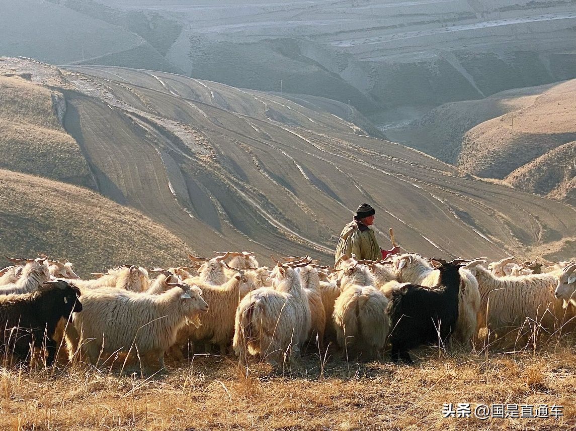 一座西北小城的电商“狂飙”：从山沟里闯出“羊”关大道