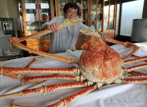 去日本必吃的五种海鲜,到日本必吃的饕餮美食