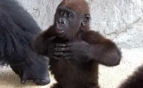 为什么聪明的人创业容易失败,为什么大多数普通人创业失败