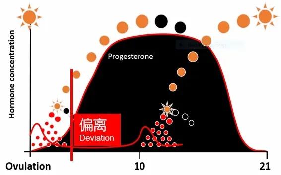 奶牛如何提高受孕率,奶牛排卵的症状