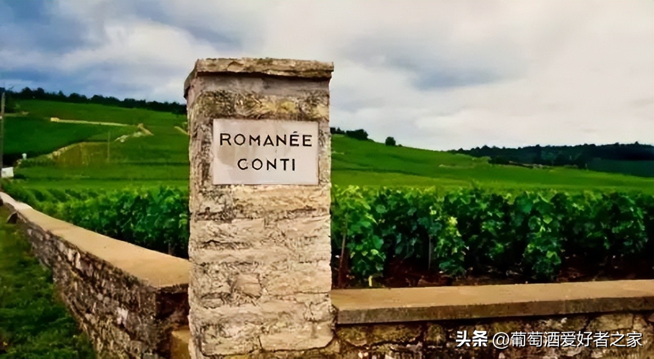 法国佳颂庄园红酒,法国十大红酒酒庄排名及价格