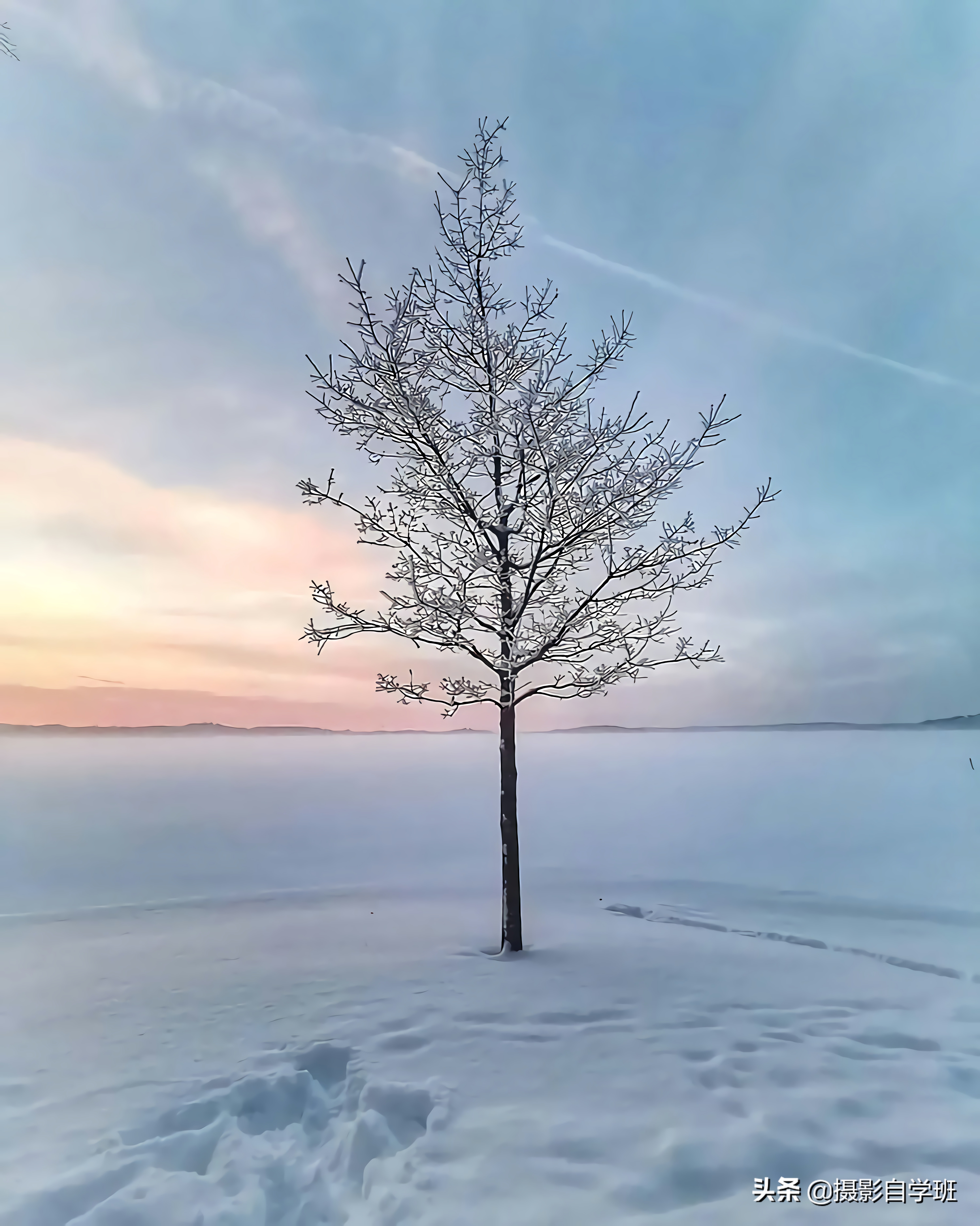 摄影入门教你轻松拍大片,摄影初学学会这几招就能拍美照
