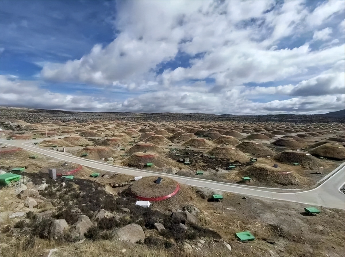高山上的采药人,高山上的鸟类
