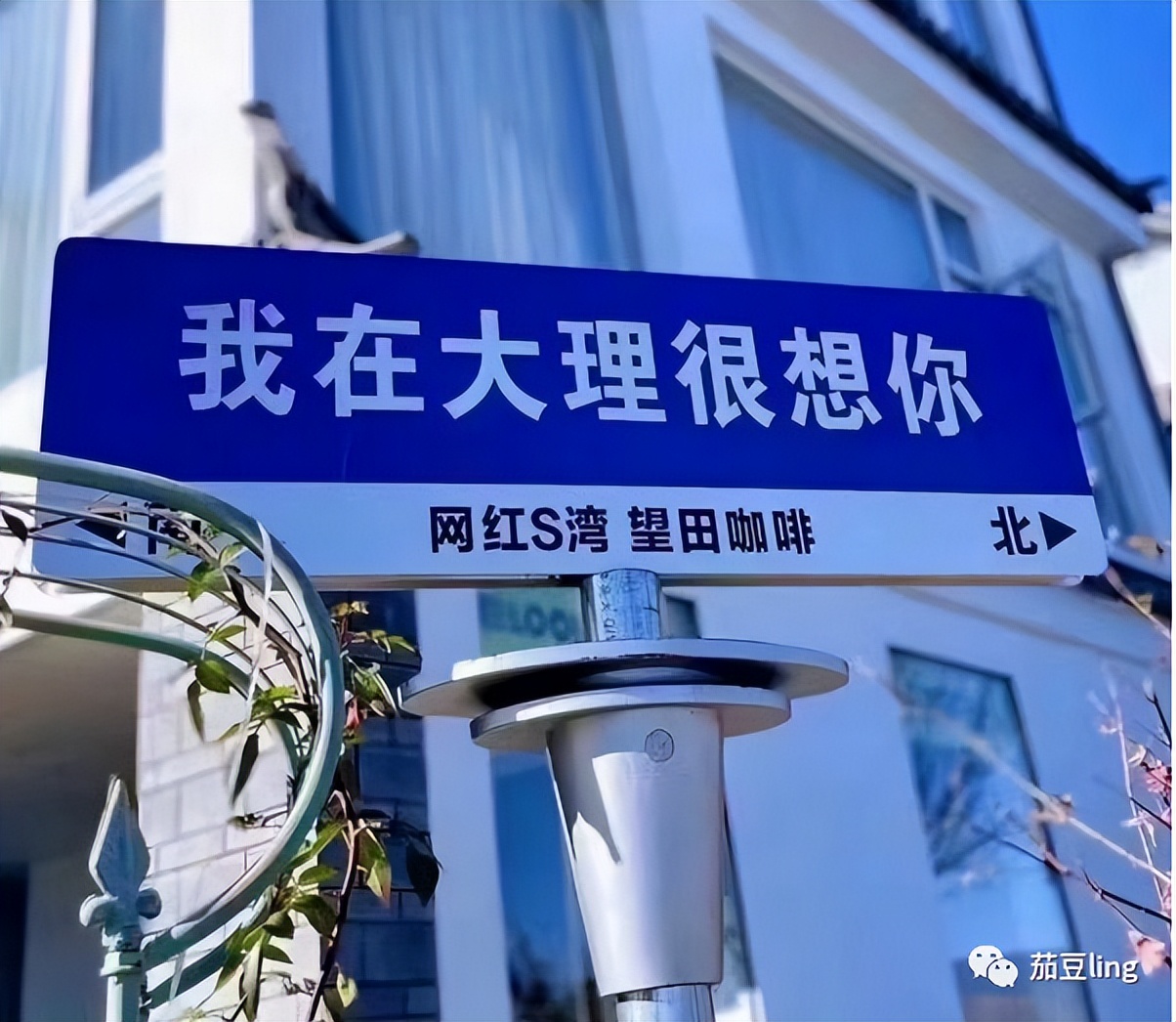 加盟旅行社有什么前景,怎样加盟旅行社