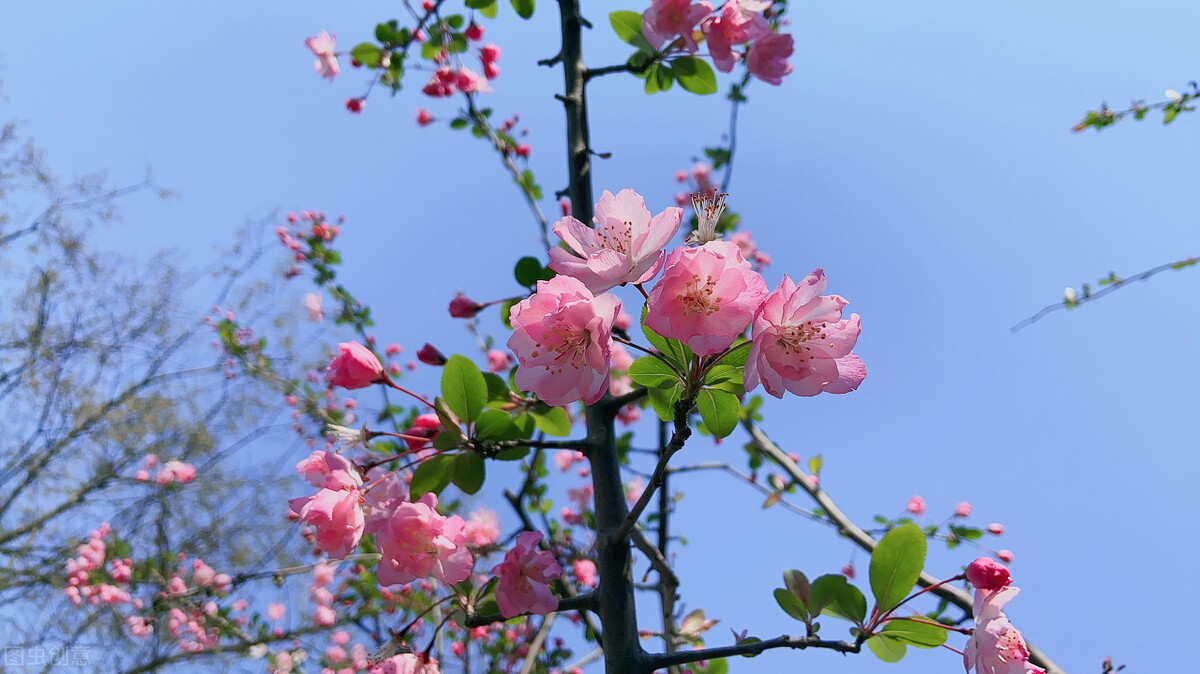 愿被岁月温柔以待琴瑟在御,愿琴瑟在御岁月静好下一句