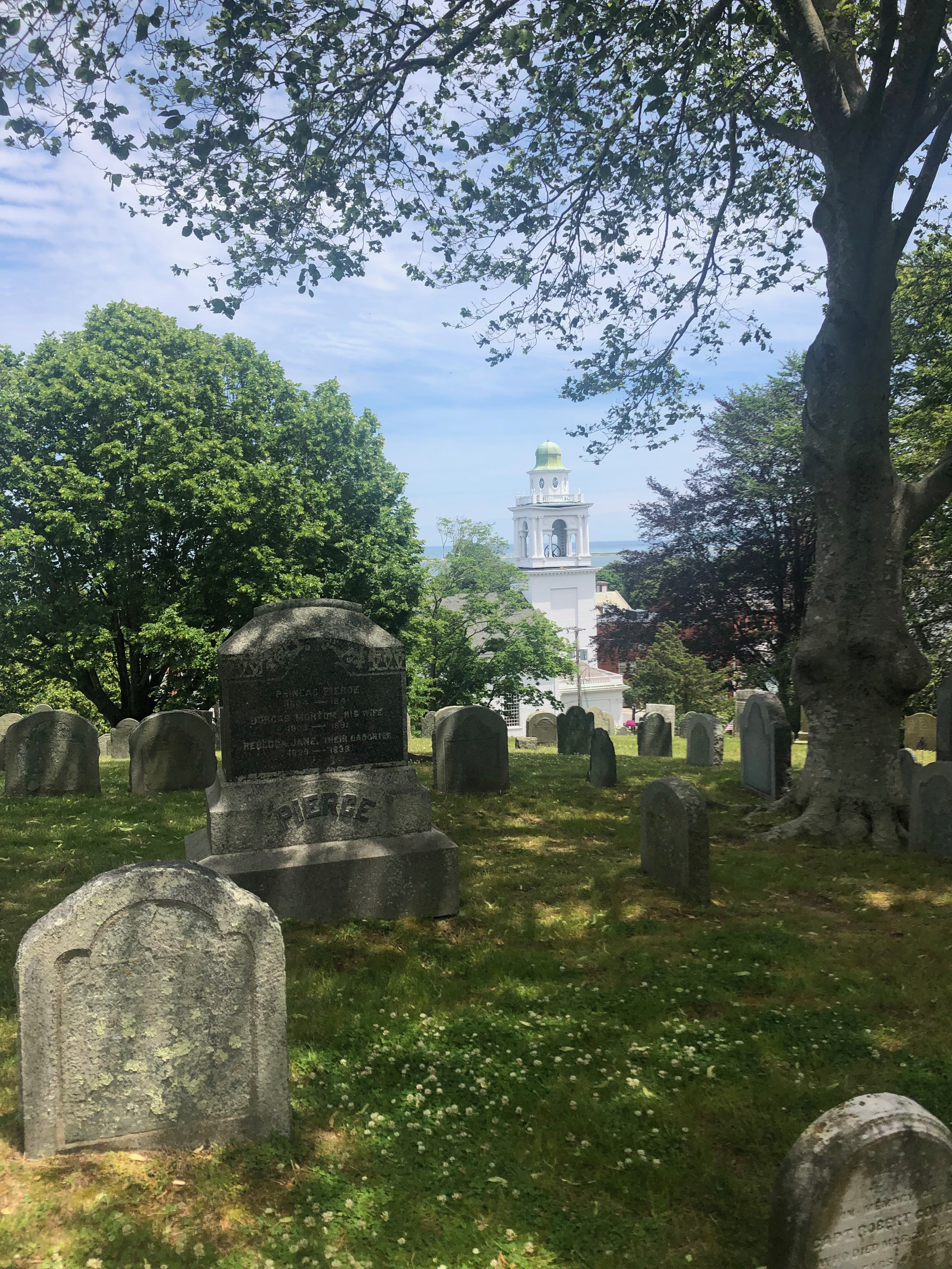 北美游记,北美游记2019年