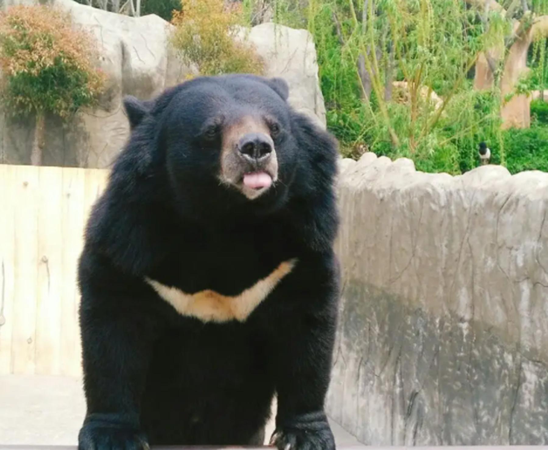自然风光青岛秦皇岛哪个更好玩,青岛极地海洋和海底世界哪个好玩