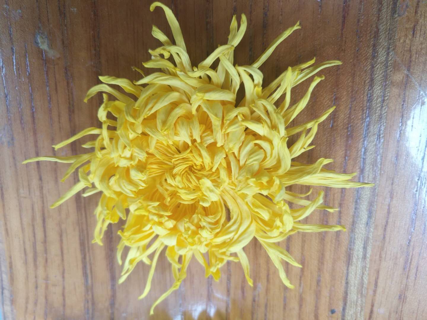 菊花热泵烘干机生产厂家,菊花烘干机