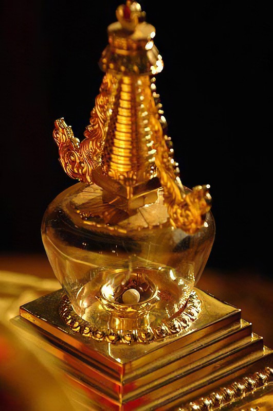 解密舍利子是怎么形成的,舍利子未解之谜完整