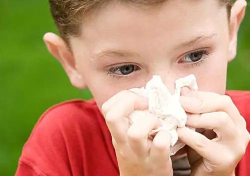 孩子流鼻血了该怎么制止呀,孩子流鼻血怎么安慰