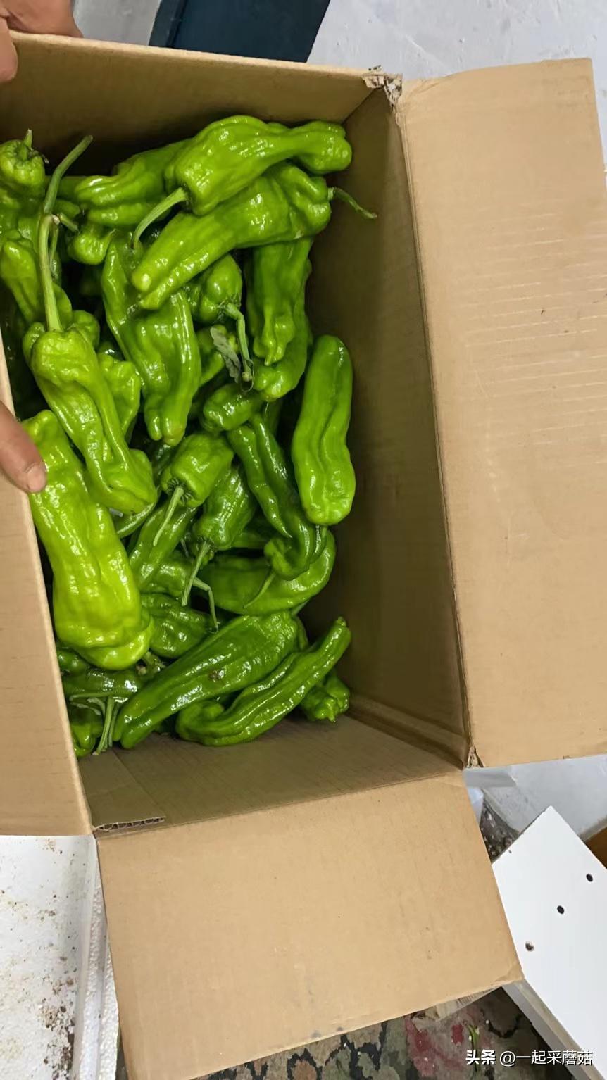 后疫情时代消费趋势下降,后疫情时代失业率