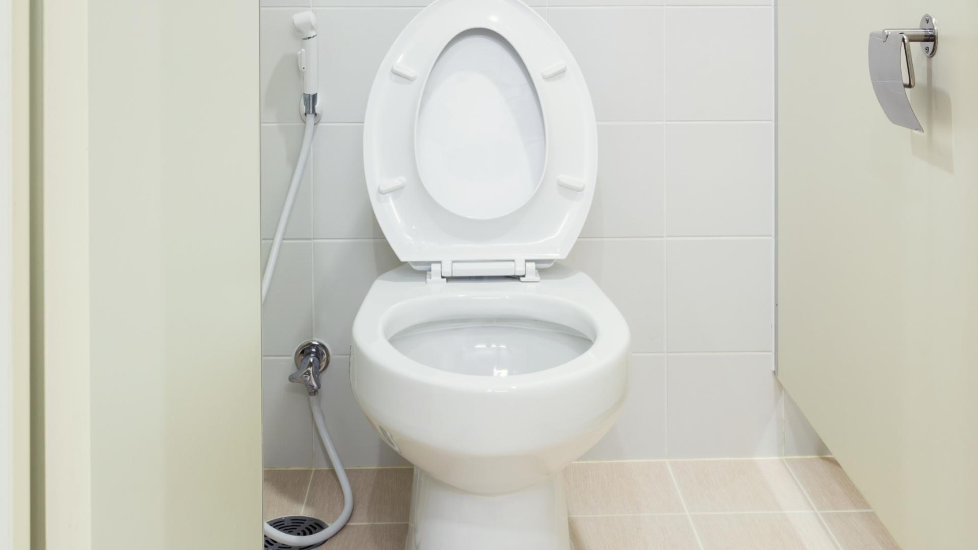 洗手间夏天有小虫子怎么办,夏天卫生间的小黑虫怎么处理