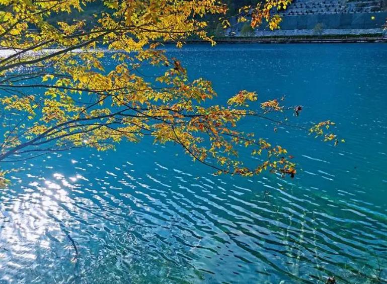 阎厹|有情堪向诗中老，无帽何妨醉横斜（原创诗词二十首）