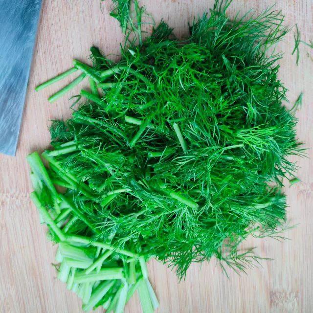 为什么南方的茴香与北方的不一样,茴香广东可以种吗