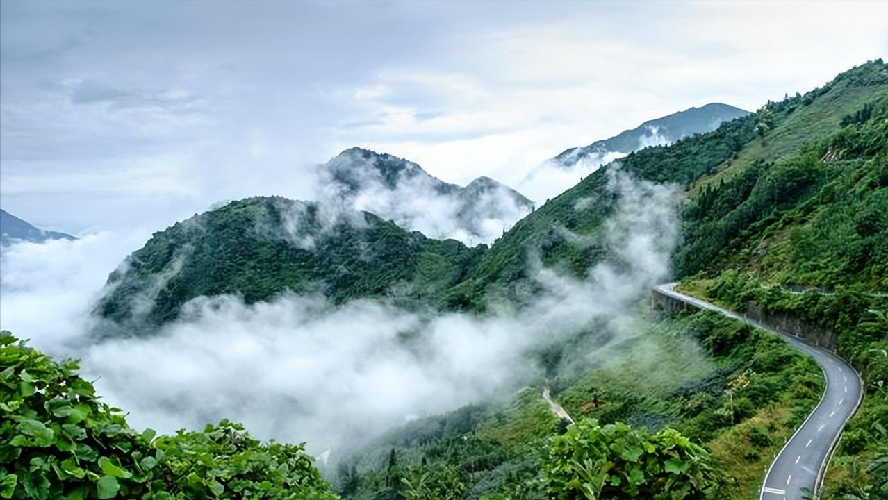 成都大熊猫繁育基地和卧龙哪个好,去成都大熊猫基地旅游攻略一日游