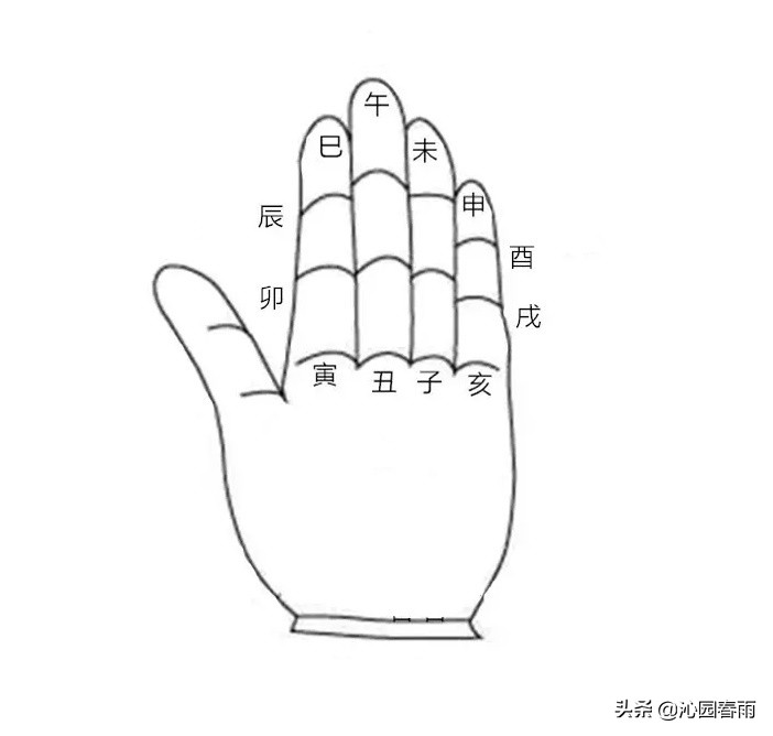 十二时辰时柱详解,十二时辰记忆方法视频