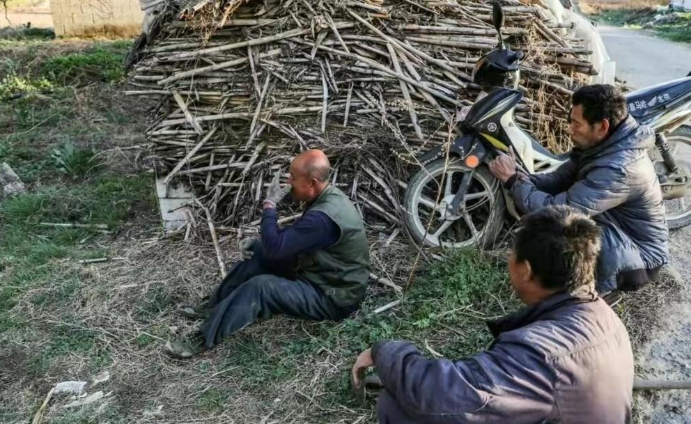 妻子出轨丈夫怒杀情妇然后自首,男子疑妻子出轨捅伤情夫获刑5年