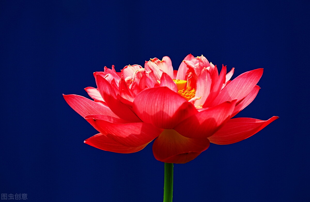 34岁男子相亲59次均失败,31岁男子相亲几十次均失败