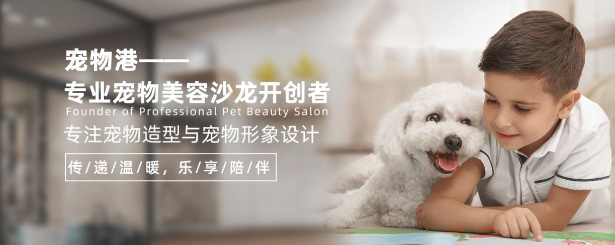 宠物美容加盟店怎么开好呢,宠物美容店加盟哪家好