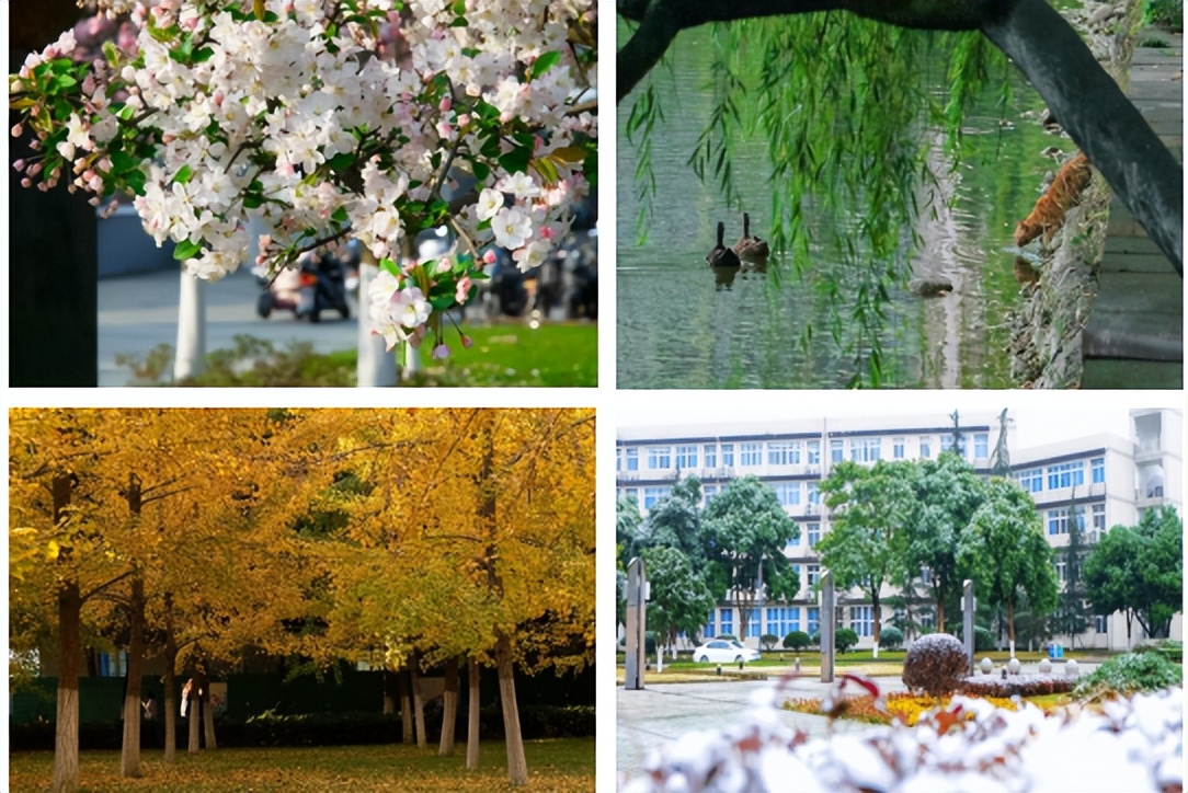 西南石油大学的校训与精神,实力突出双一流西南石油大学