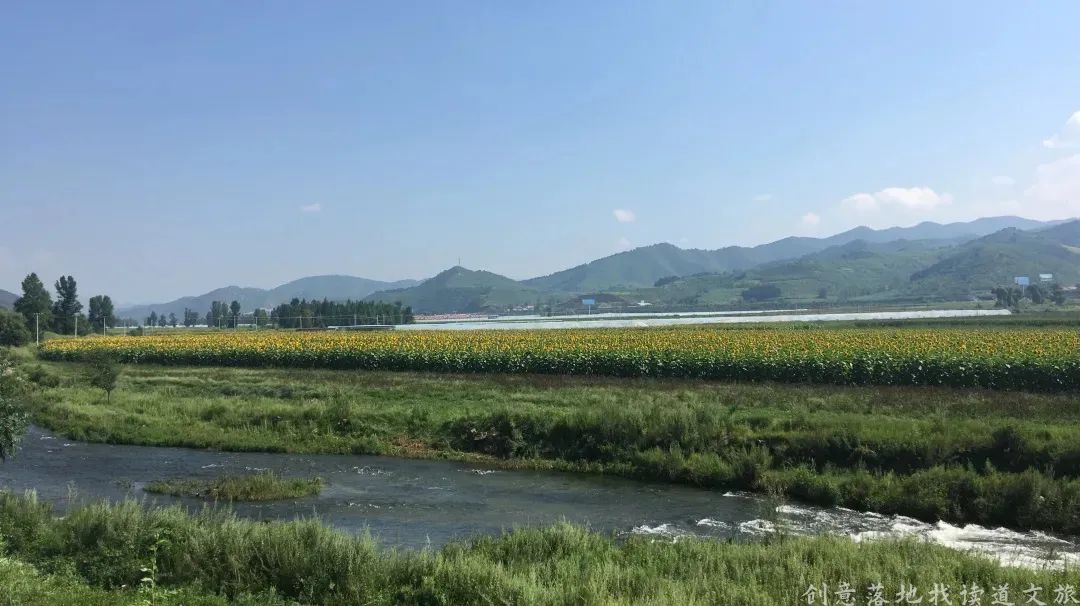 乡村振兴示范村典型案例建设方案,乡村振兴谋划不全不细典型案例