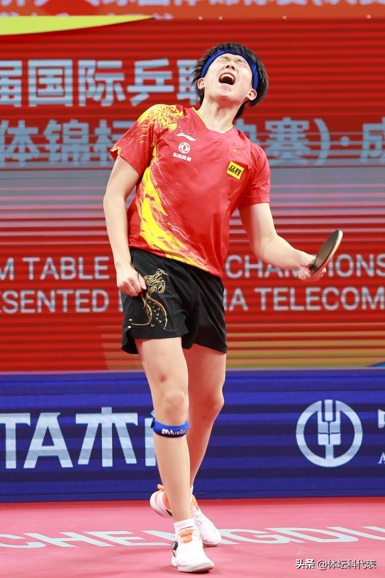 王曼昱王楚钦热身赛,恭喜王曼昱夺得世乒赛女单冠军