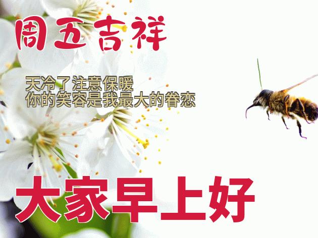 早上好简单好看的早安祝福语,早上好的问候美句励志的早安语